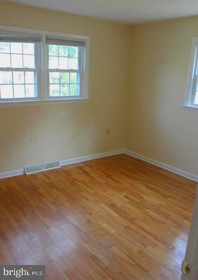 128 Fox Dr, Winchester, VA 22601 - unfurnished room featuring light wood-style flooring and plenty of natural light