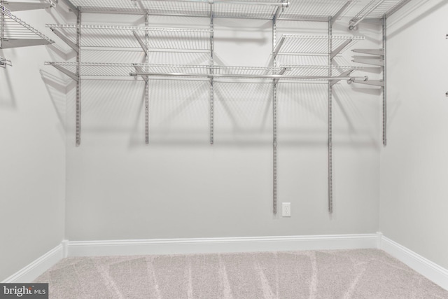 spacious closet with carpet floors
