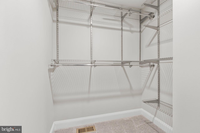 spacious closet featuring visible vents and carpet floors