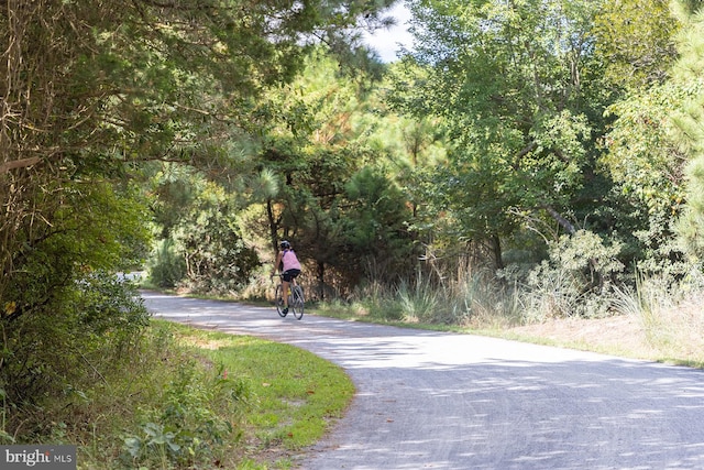 view of road with a wooded view
