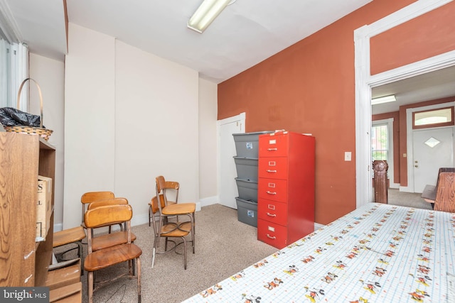 bedroom featuring carpet