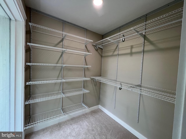 8122 Stacey Rd, Alexandria, VA 22308 - spacious closet with carpet flooring