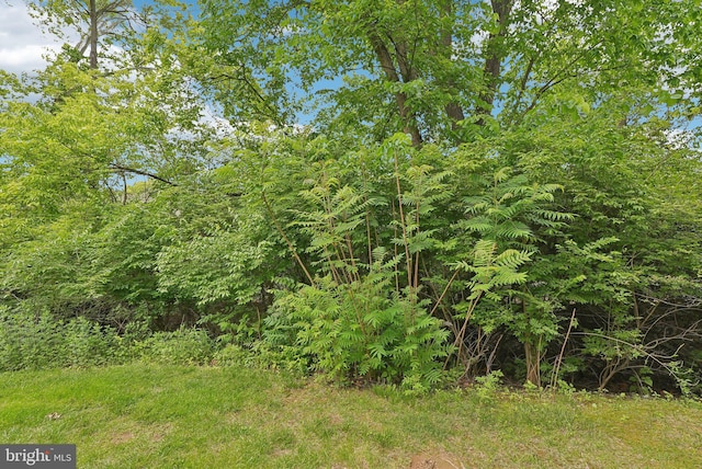 51 Knickerbocker Ln, Malvern, PA 19355 - view of nature