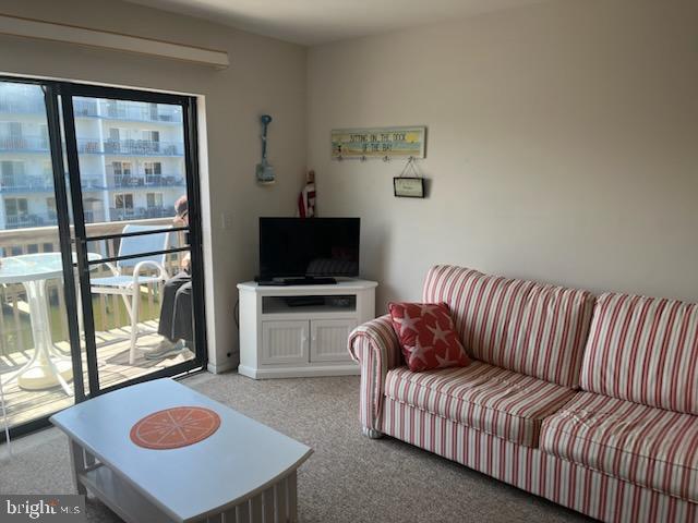 view of carpeted living area