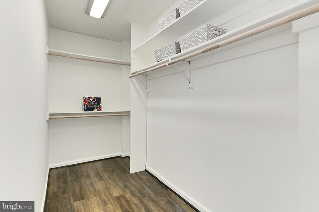 spacious closet with dark wood-style flooring