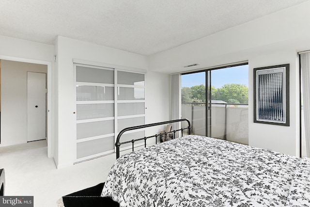 carpeted bedroom with a textured ceiling and a closet