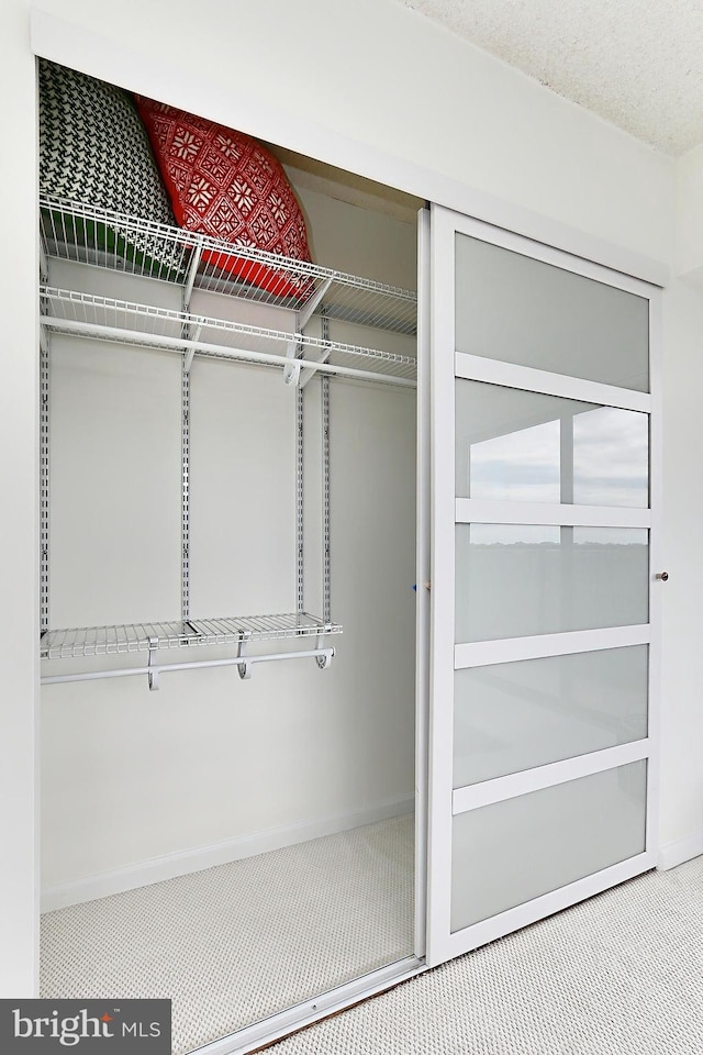 view of closet