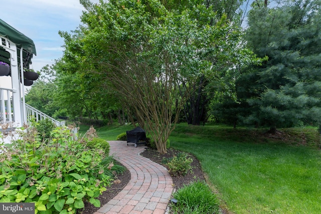 9124 Back Drop Dr, Perry Hall, MD 21128 - view of green lawn