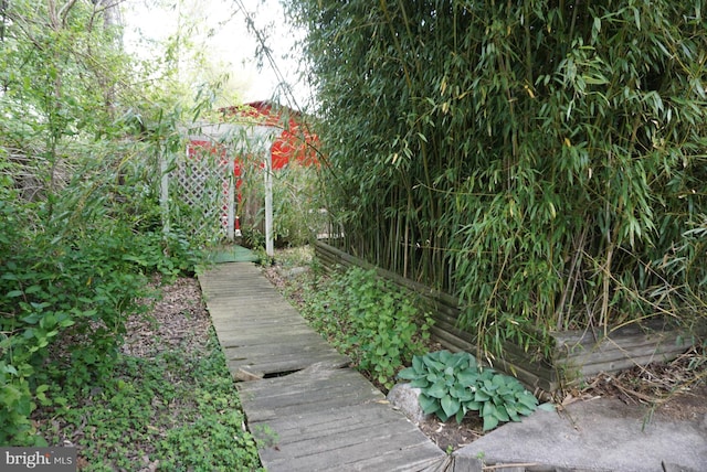 view of yard