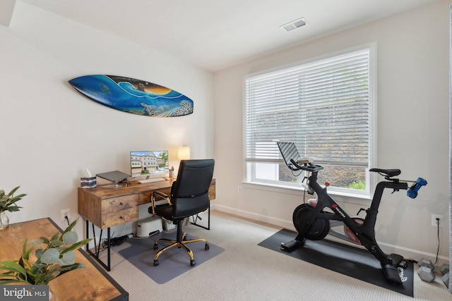 29 Enclave Ct, Annapolis, MD 21403 - home office with baseboards and carpet floors