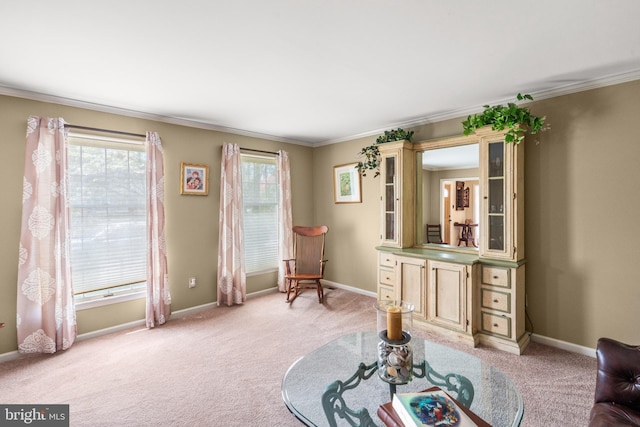 22 Cochise Cir, Medford Lakes, NJ 08055 - living area featuring crown molding, baseboards, and light colored carpet