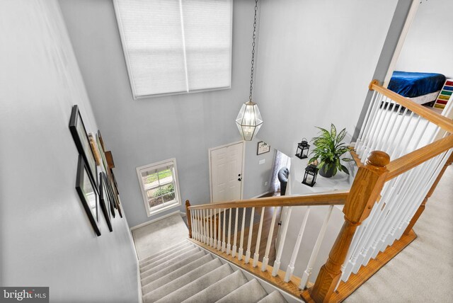 stairs featuring carpet flooring, baseboards, and a towering ceiling