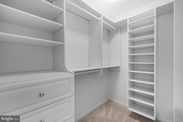 spacious closet with light carpet