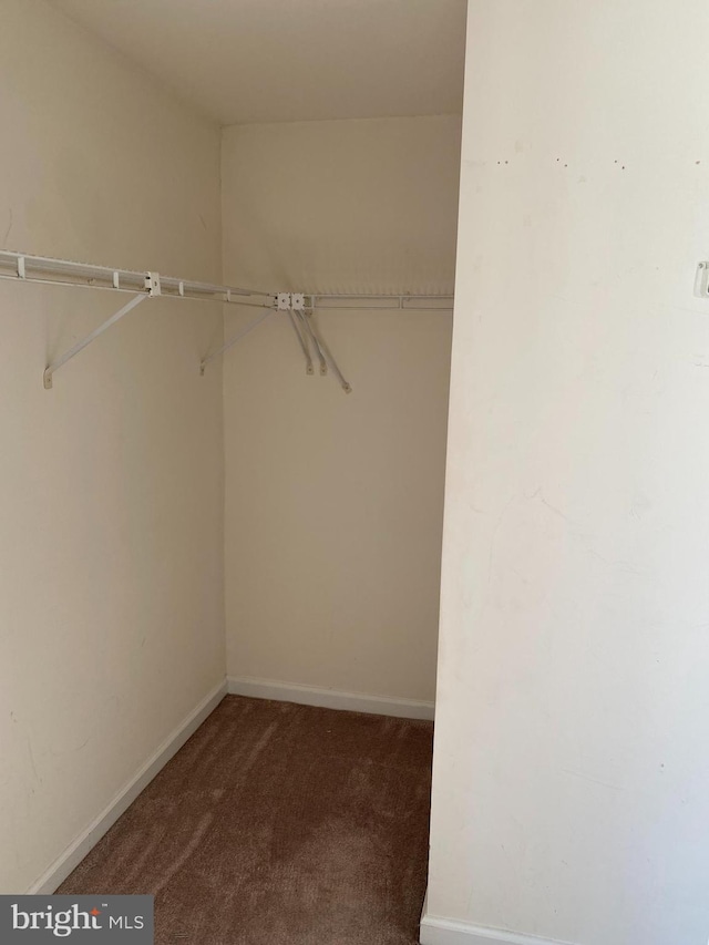 12896 Schalk Ct, Woodbridge, VA 22192 - walk in closet with carpet floors