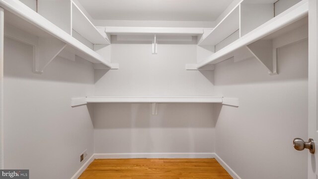walk in closet featuring light wood-style floors