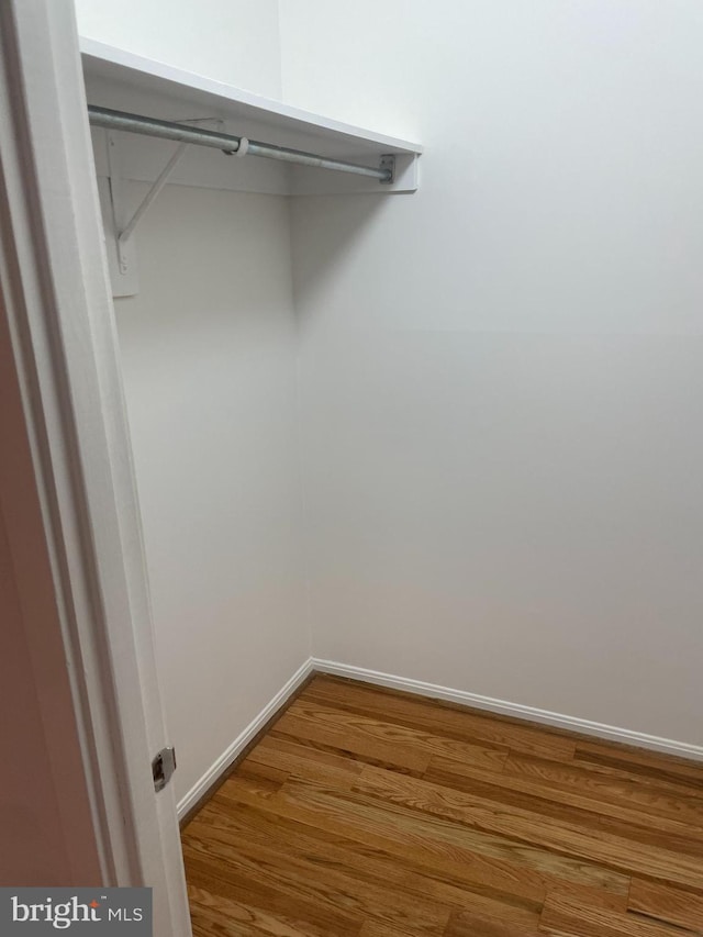 spacious closet featuring wood finished floors