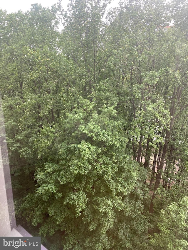 view of local wilderness