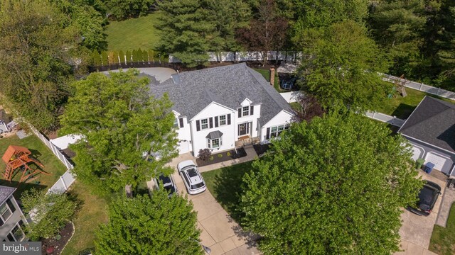 drone / aerial view