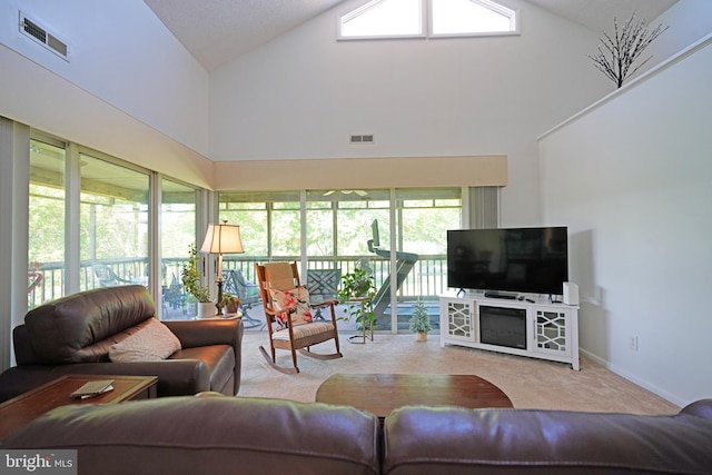 33955 Middleton Cir Unit 5, Lewes, DE 19958 - living area with high vaulted ceiling, carpet, and baseboards