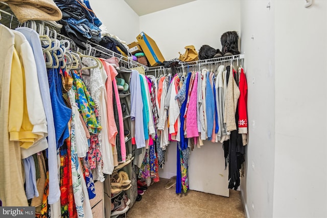 1507 Broadneck Pl Unit 403, Annapolis, MD 21409 - spacious closet with carpet