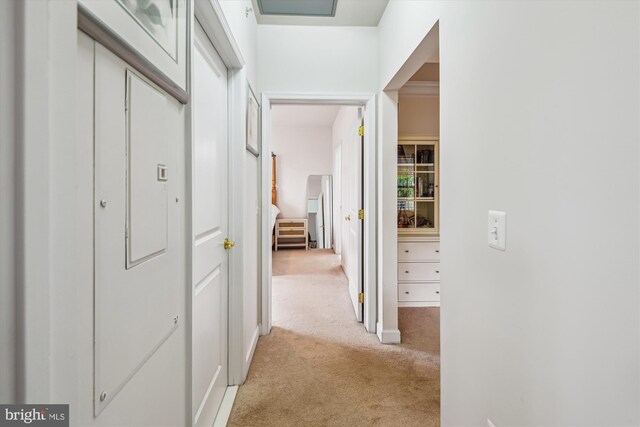 1507 Broadneck Pl Unit 403, Annapolis, MD 21409 - hallway with light colored carpet and baseboards