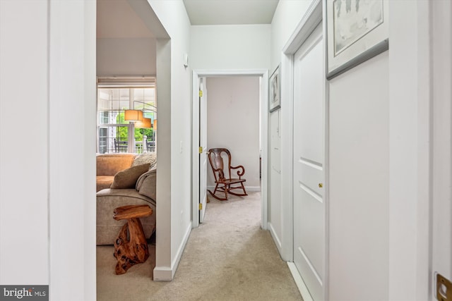 1507 Broadneck Pl Unit 403, Annapolis, MD 21409 - hallway with light colored carpet and baseboards