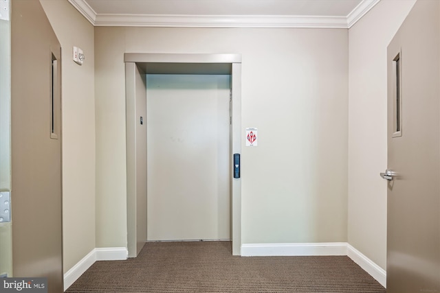 1507 Broadneck Pl Unit 403, Annapolis, MD 21409 - hall featuring carpet, elevator, ornamental molding, and baseboards