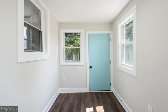 entryway with plenty of natural light, baseboards, and dark wood-style floors