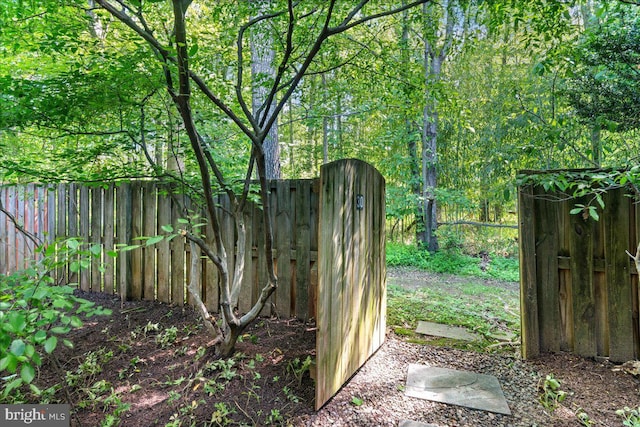 30 Morton Ct, Lawrence Township, NJ 08648 - view of yard