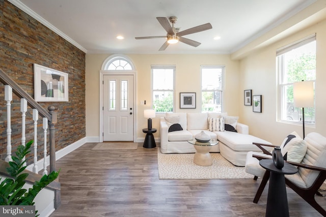 living room with crown molding, ceiling fan, stairway, and wood finished floors