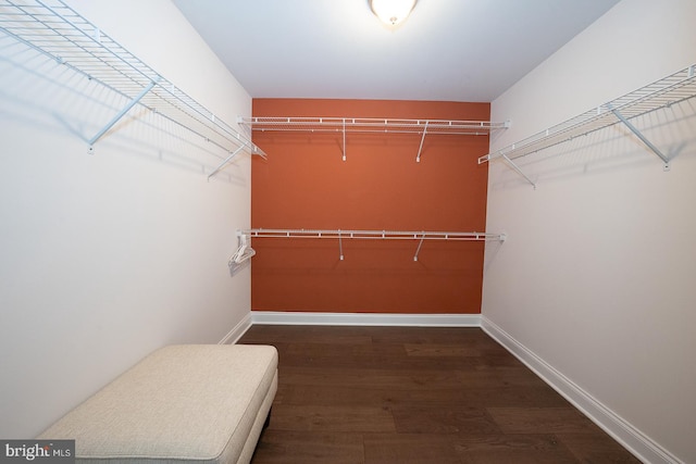 spacious closet with wood finished floors