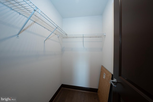 walk in closet with wood finished floors
