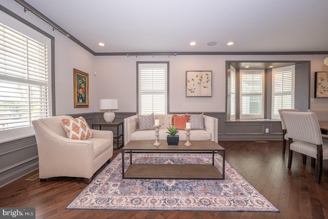 living area featuring wainscoting, dark wood-style floors, and a wealth of natural light