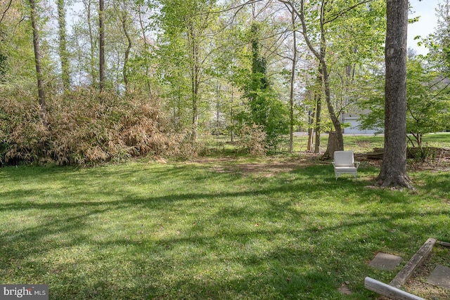 view of yard