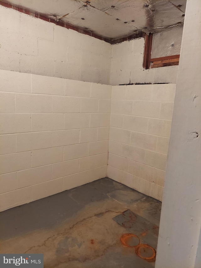 view of unfinished basement