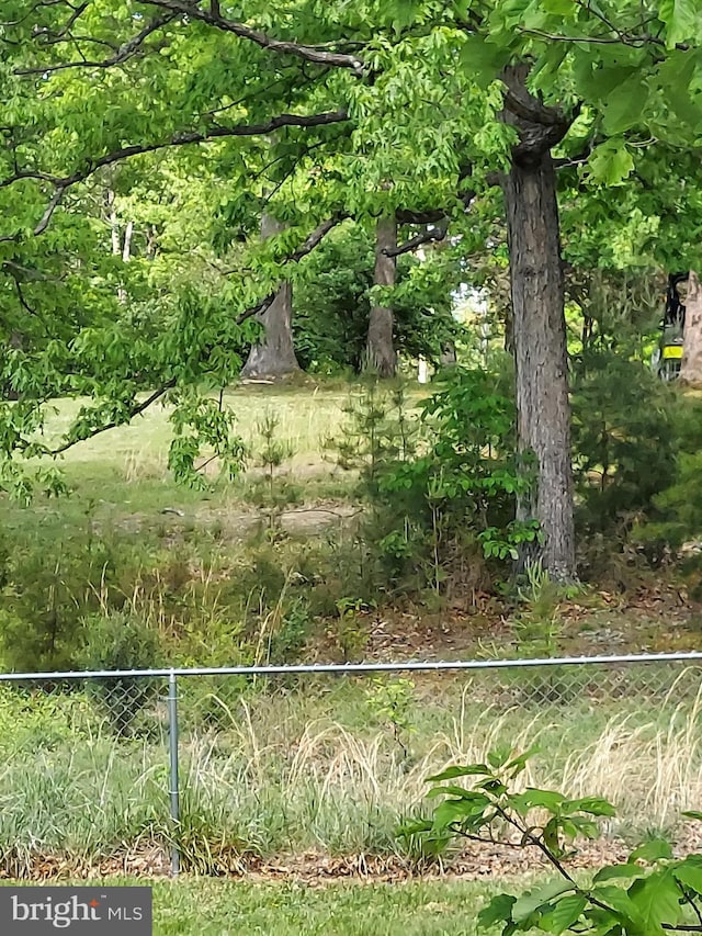 view of local wilderness