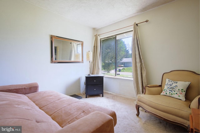 interior space with carpet flooring, a textured ceiling, and baseboards
