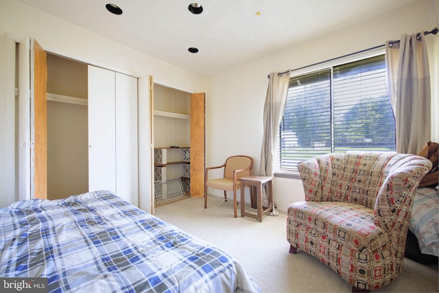 bedroom featuring a closet and carpet