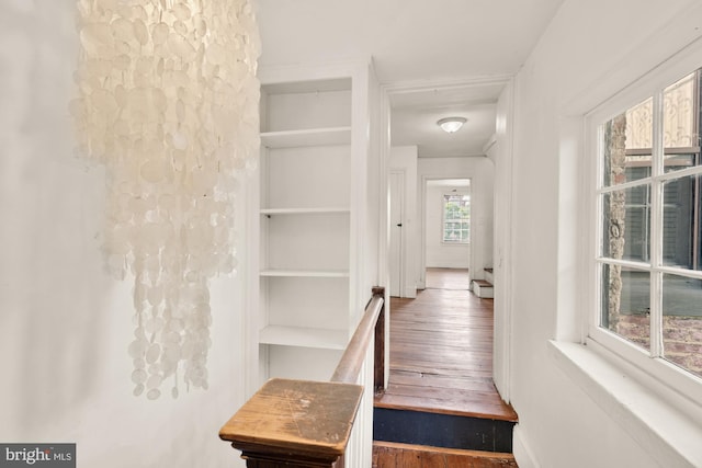 stairway featuring built in features and wood finished floors