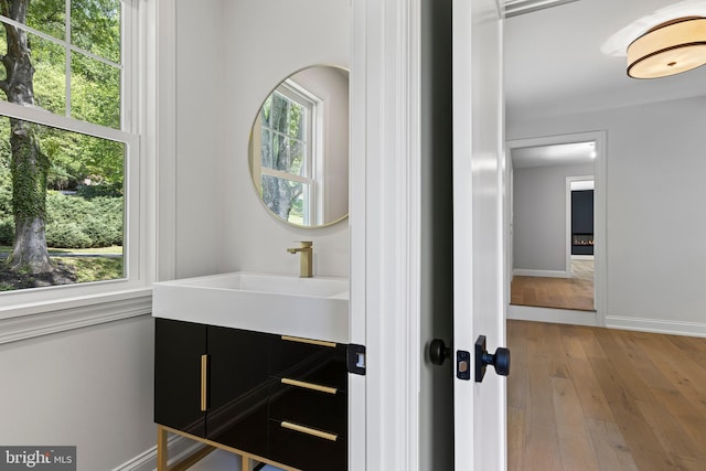 bathroom with baseboards, vanity, and wood finished floors