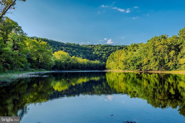 82 Vista River Ln, Paw Paw, WV 25434 - view of water feature with a view of trees