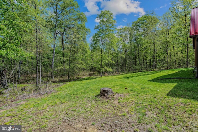 82 Vista River Ln, Paw Paw, WV 25434 - view of yard