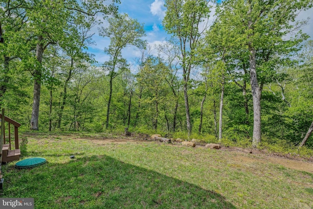 82 Vista River Ln, Paw Paw, WV 25434 - view of yard with a wooded view
