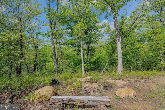 82 Vista River Ln, Paw Paw, WV 25434 - view of nature with a forest view