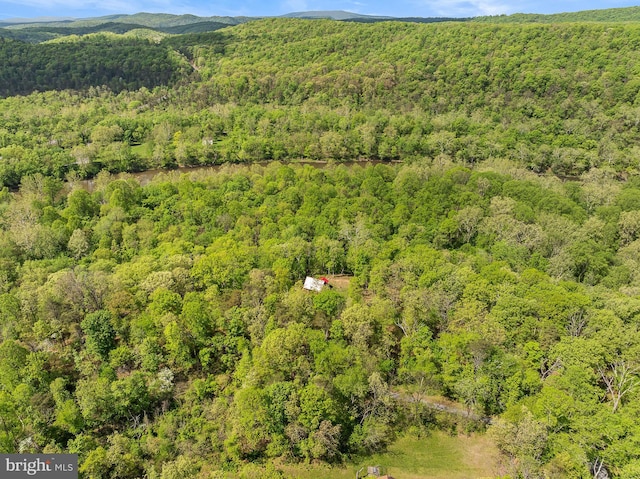 82 Vista River Ln, Paw Paw, WV 25434 - drone / aerial view featuring a forest view and a mountain view