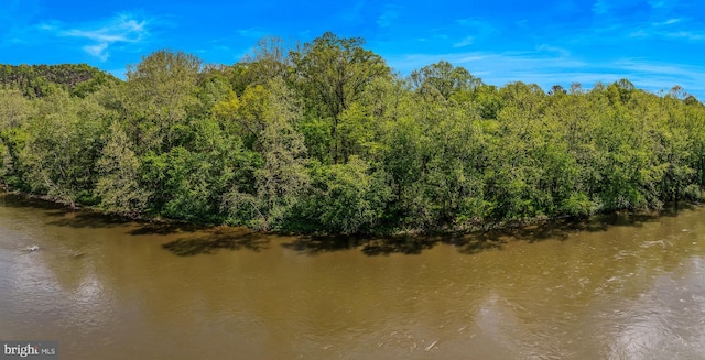 82 Vista River Ln, Paw Paw, WV 25434 - water view with a forest view
