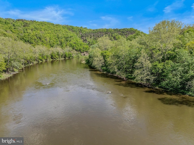 82 Vista River Ln, Paw Paw, WV 25434 - view of water feature with a wooded view