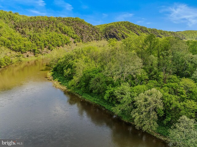 82 Vista River Ln, Paw Paw, WV 25434 - bird's eye view with a wooded view and a mountain view
