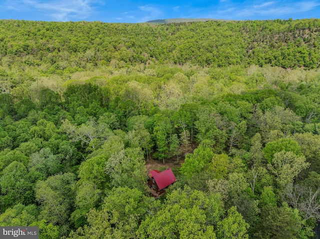 82 Vista River Ln, Paw Paw, WV 25434 - aerial view featuring a forest view