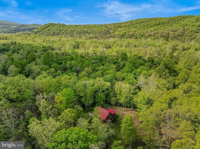 82 Vista River Ln, Paw Paw, WV 25434 - bird's eye view featuring a forest view
